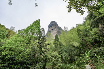 江郎山风景名胜区第 72 张图片
