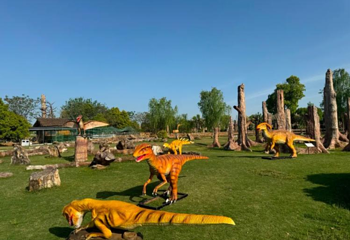森山国草博览园第 19 张图片