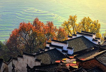 婺源篁岭景区第 85 张图片