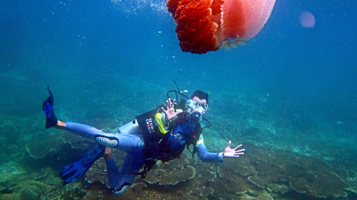 加井岛官方潜水中心