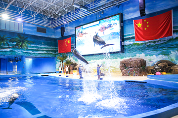 赣州极地海洋世界第 41 张图片