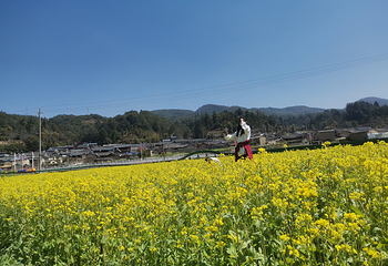 镇北艺术田园景区第 5 张图片