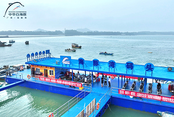 广旅海豚湾出海寻豚第 14 张图片