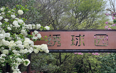 周浦花海第 70 张图片