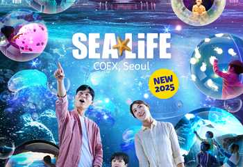 Sea Life COEX水族馆第 4 张图片