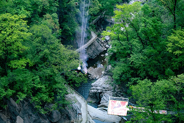 洛阳白云山风景区第 101 张图片