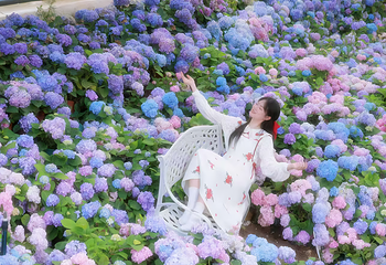 香遇百花园第 32 张图片