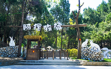 淄博聊斋城第 20 张图片
