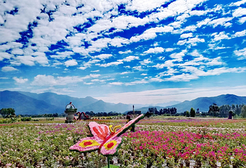 海南花梨谷文化旅游区第 5 张图片