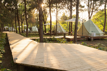 大象露营Elephant Camping第 11 张图片