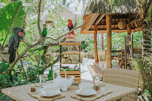 龙目岛野生动物园