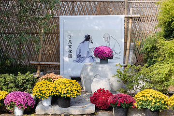 碧云花园第 35 张图片