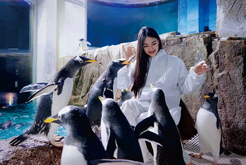 海滨城浩海立方海洋公园第 43 张图片