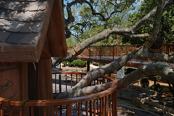 森林海森林乐园第 104 张图片
