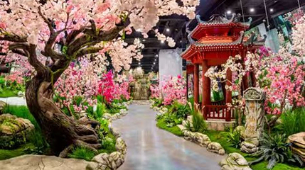 青州古城仙侠奇境第 1 张图片