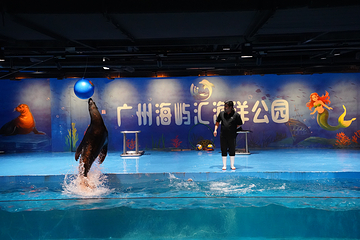 广州海屿汇海洋公园第 8 张图片