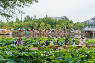 上海蟠龙新天地第 5 张图片