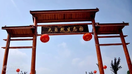 庐江县汤池镇金冲大自然生态园第 3 张图片