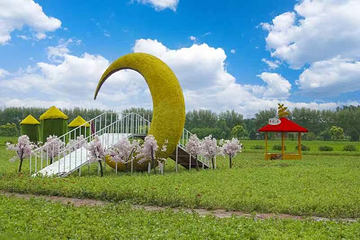闫家岗稻田画第 2 张图片