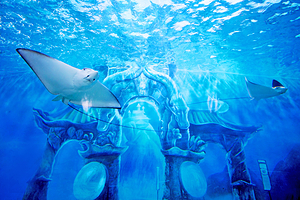 中鱼视界·城市欢乐场