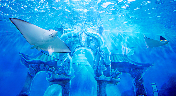 中鱼视界·城市欢乐场