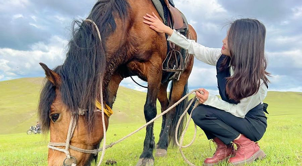 黑山头敖驰马场