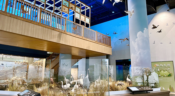 鄱阳湖国际湿地候鸟馆