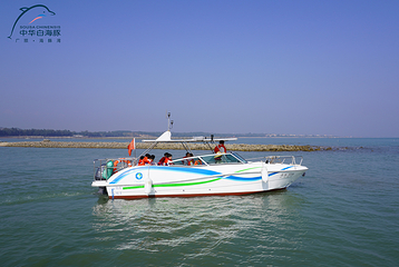 广旅海豚湾出海寻豚第 12 张图片