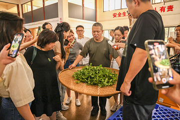 武夷香江茗苑第 30 张图片