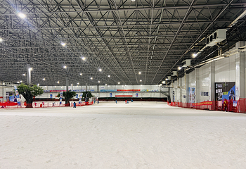 三只熊冰雪王国第 22 张图片