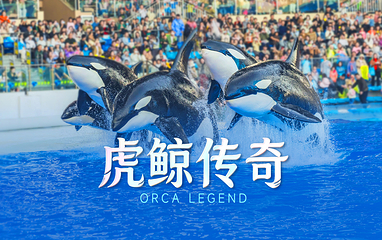 上海海昌海洋公园第 3 张图片