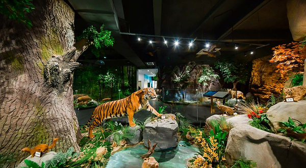 汀江源自然教育馆