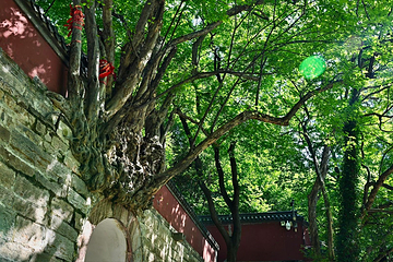 灵岩寺第 69 张图片
