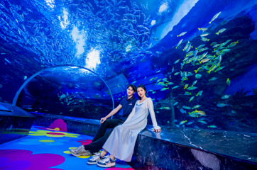 海合安成都极地海洋公园第 98 张图片
