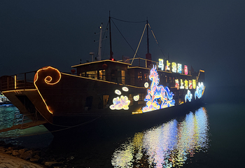 千岛湖夜游第 20 张图片