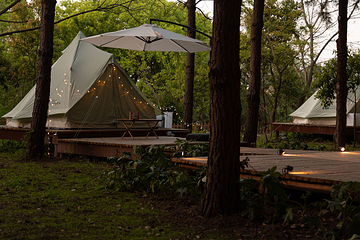 大象露营Elephant Camping第 36 张图片