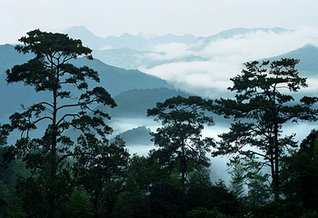 牛姆林生态旅游区第 36 张图片