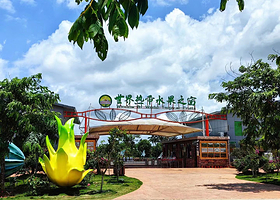 世界热带水果之窗