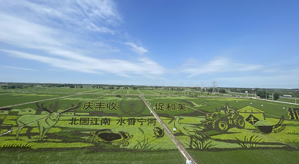 七里海宁和稻香农文旅生态园景区