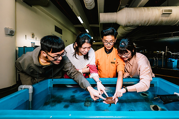 台湾海洋生物博物馆第 31 张图片