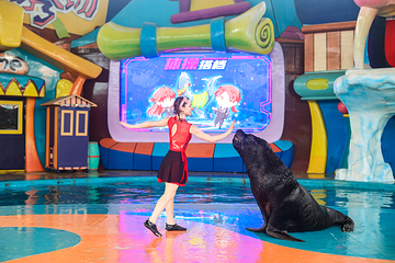 海合安武汉极地海洋公园第 93 张图片