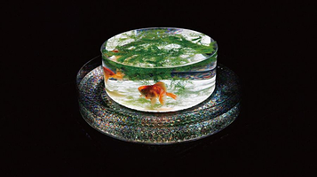 金鱼艺术展