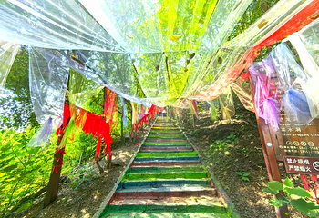 龟山景区(龟山望龙洞风景区)第 14 张图片