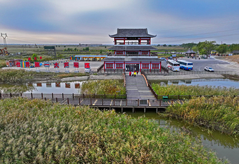 鼎翔生态旅游区-苇海蟹滩第 3 张图片