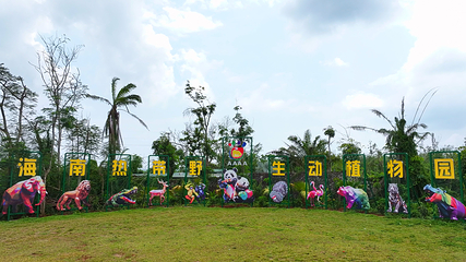 海南热带野生动植物园第 27 张图片
