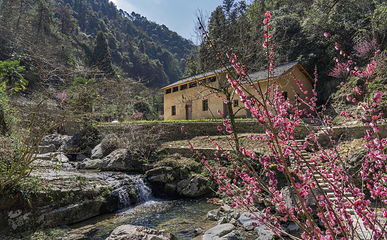 千岛湖红山谷景区第 25 张图片