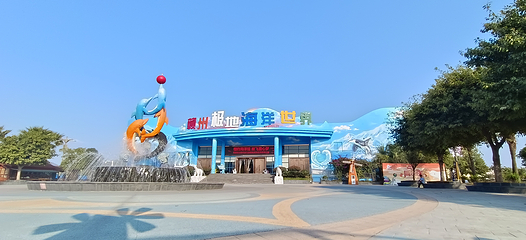 赣州极地海洋世界第 37 张图片