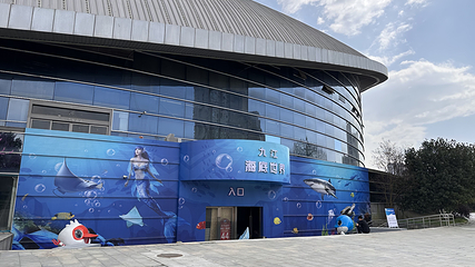 九江海底世界第 5 张图片