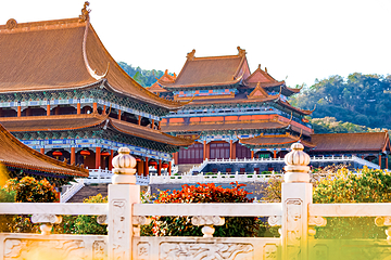 南国桃园第 29 张图片