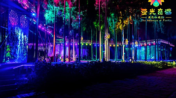 萤光奇遇天台山夜游